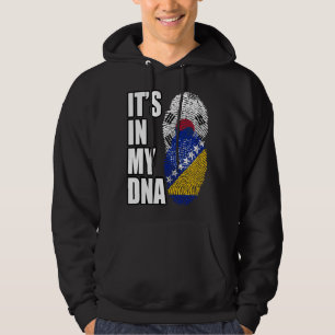 Bosnian And South Korean Mix DNA Heritage Flag Hoodie