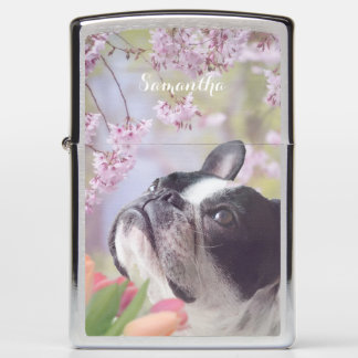 Boson Terrier dog personalized zippo lighter