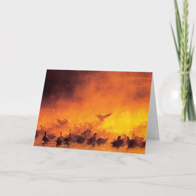 Bosque del Apache National Wildlife Refuge, NM Card (Front)