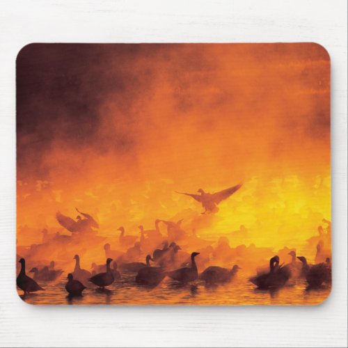 Bosque del Apache National Wildlife Refuge NM Mouse Pad