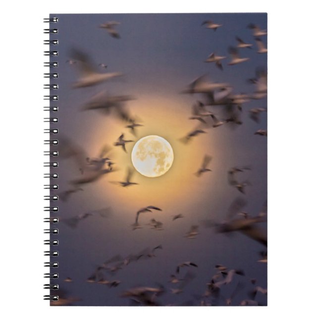 Bosque del Apache National Wildlife Refuge Notebook (Front)
