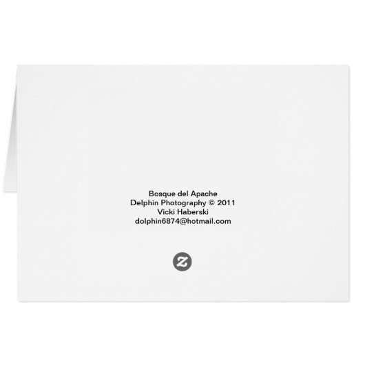 Bosque del Apache, New Mexico (Back Horizontal)