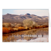 Bosque del Apache, New Mexico (Front Horizontal)