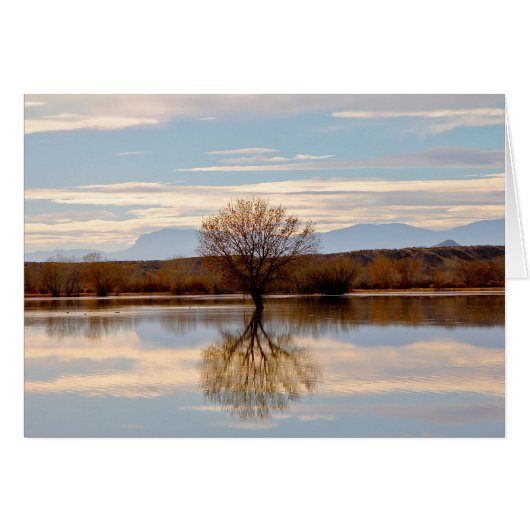 Bosque del Apache, New Mexico (Front Horizontal)