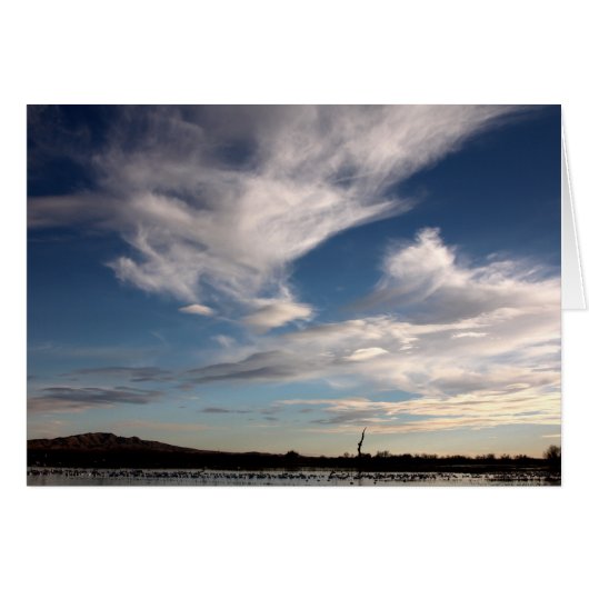Bosque del Apache, New Mexico Cards (Front Horizontal)