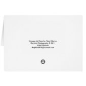 Bosque del Apache, New Mexico Cards (Back Horizontal)