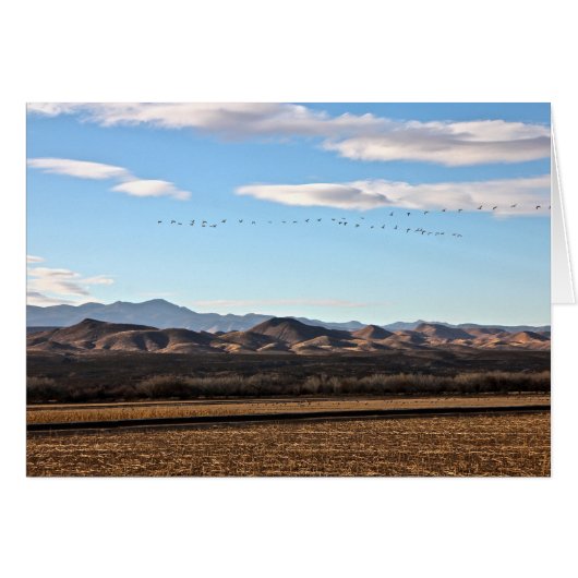 Bosque del Apache, New Mexico Cards (Front Horizontal)