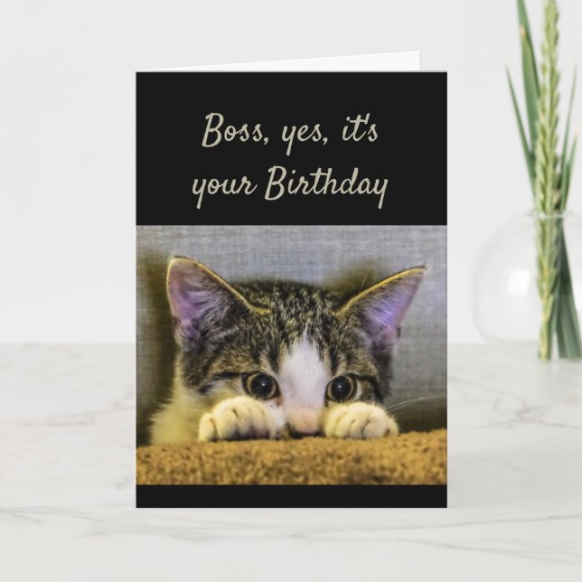 Boss can't Hide It's your Birthday Cute Kitten Card (Front)