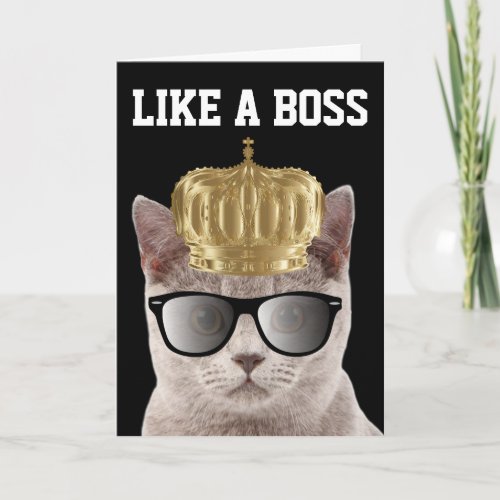 BOSS CAT BIRTHDAY CARDS