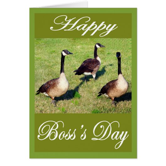boss day geese cards (Front)