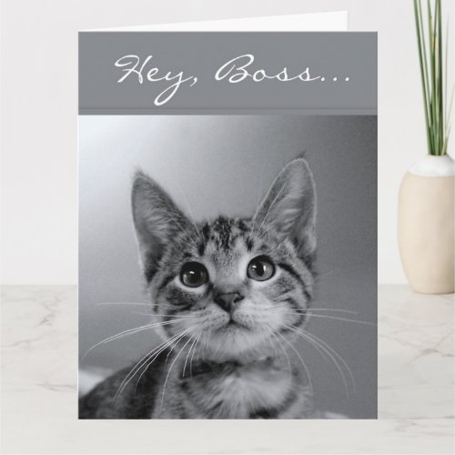 Boss Have a PURR_fectly MEOW_velous Birthday Card