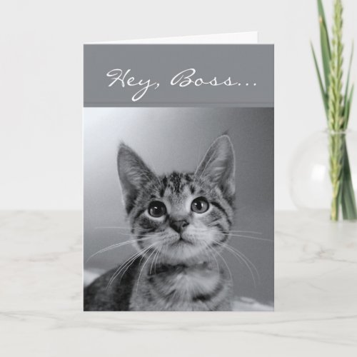 Boss Have a PURR_fectly MEOW_velous Birthday Card