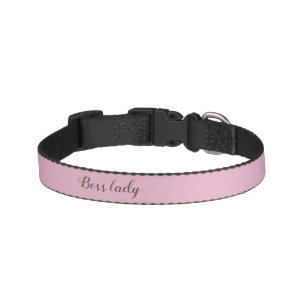 Boss lady funny collar for a female dog