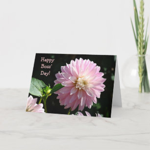 Bosses Cards Pink Dahlia Flowers Happy Boss Day!
