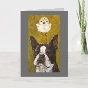 boston and plover card