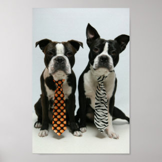 Boston brothers ポスター poster