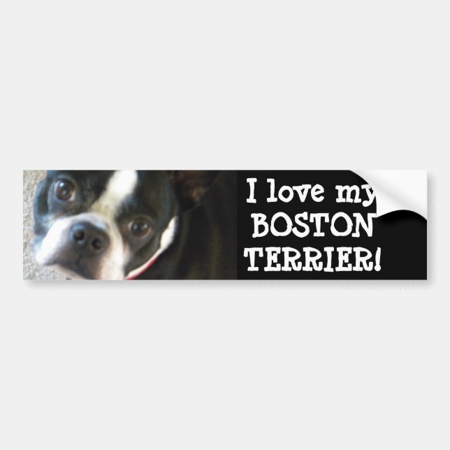 BOSTON bumper sticker (Front)