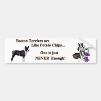 Boston_bumpersticker1a Bumper Sticker by eclipse_designs at Zazzle