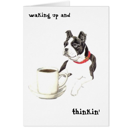 Boston Caffeine Cards (Front)