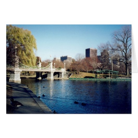 boston common (Front Horizontal)