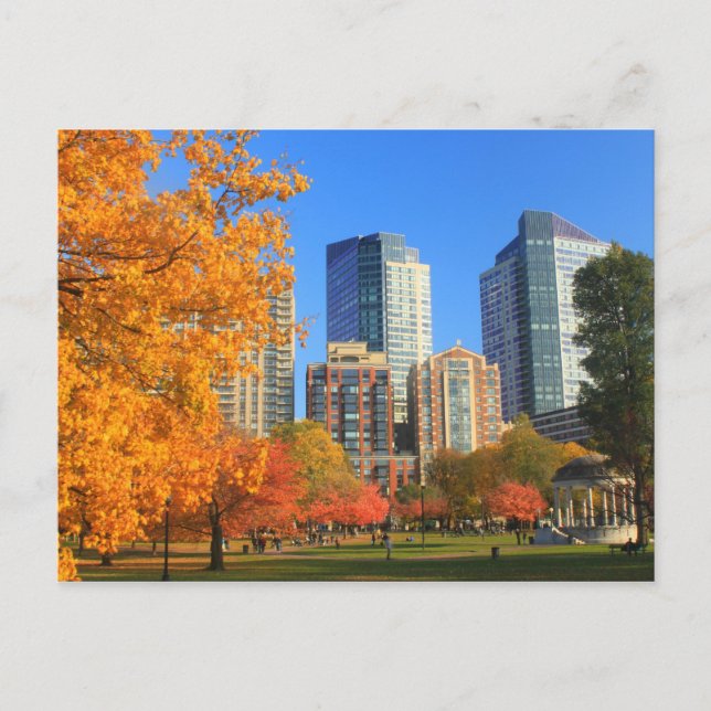 Boston Common in Autumn Postcard (Front)