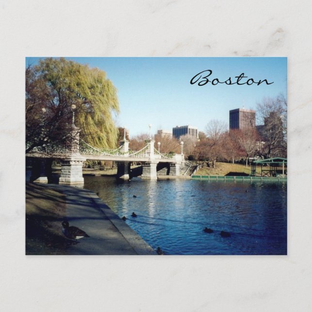 boston common lake postcard (Front)