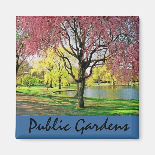 Boston Common Magnet (Front)