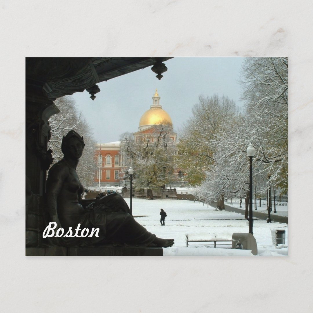 Boston Common Postcard Zazzle