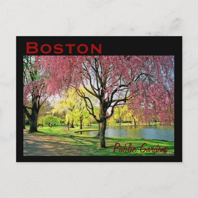 Boston Common Postcard - Customized (Front)