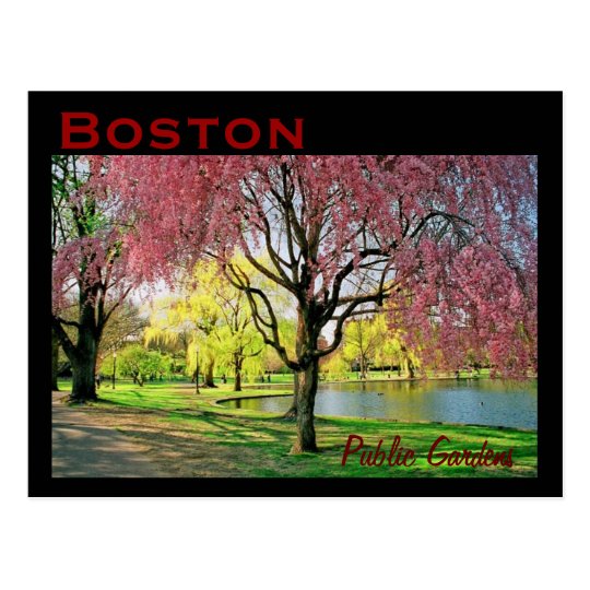 Boston Common Postcard Customized Zazzle