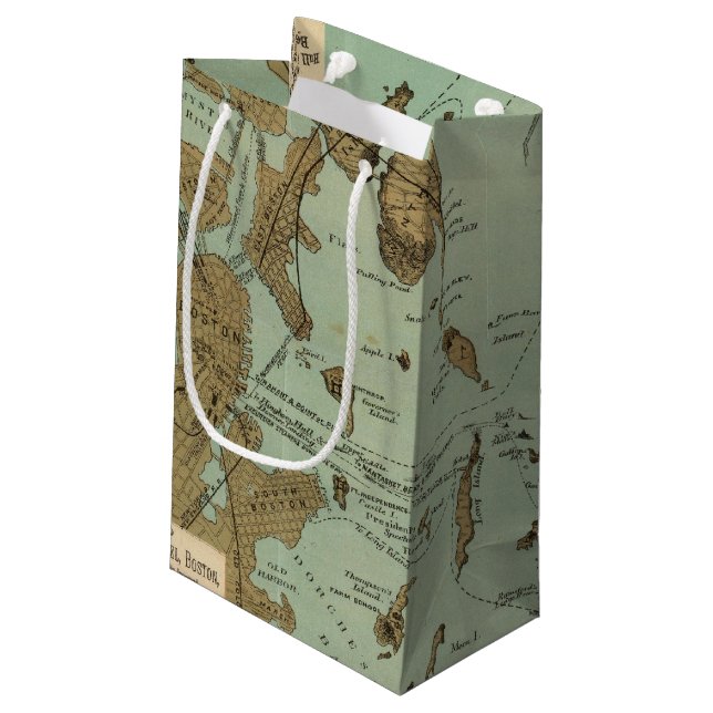 Boston Harbor Small Gift Bag (Back Angled)