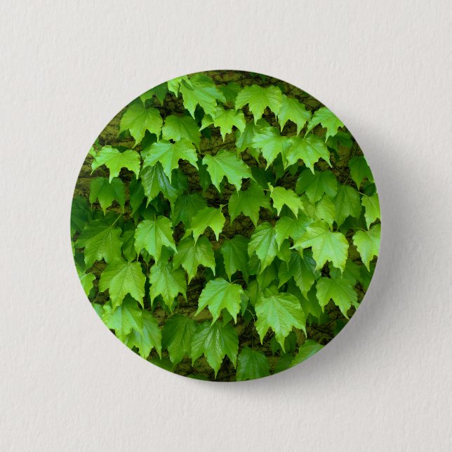 Boston Ivy Badge Button (Front)