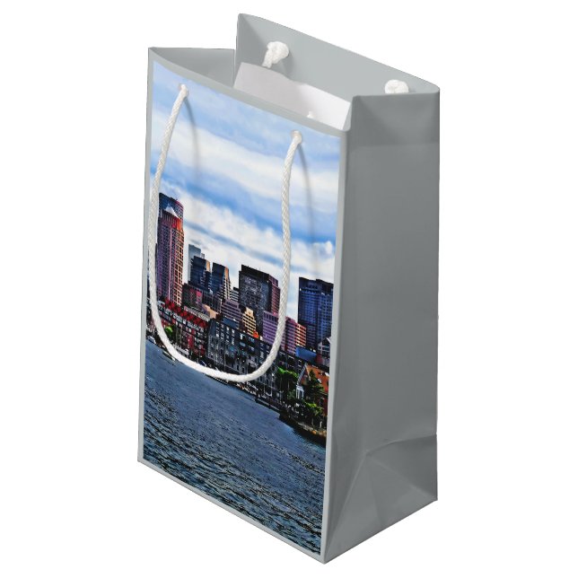 Boston MA - Inner Harbor Small Gift Bag (Back Angled)
