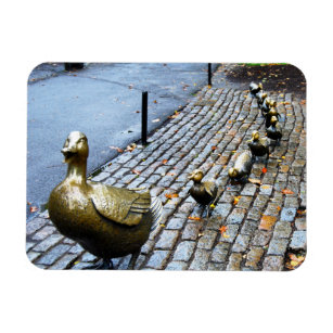 Boston - Make Way For Ducklings Magnet