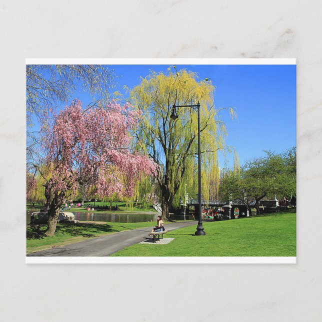 Boston, Massachusetts - Boston Gardens Post Card (Front)