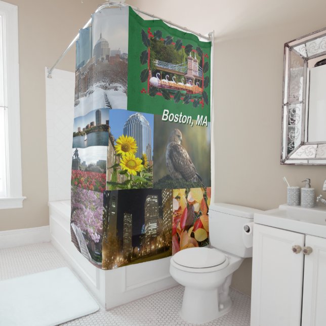Boston, Massachusetts  Shower Curtain (In Situ)