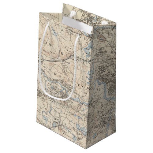 Boston Massachusetts Small Gift Bag