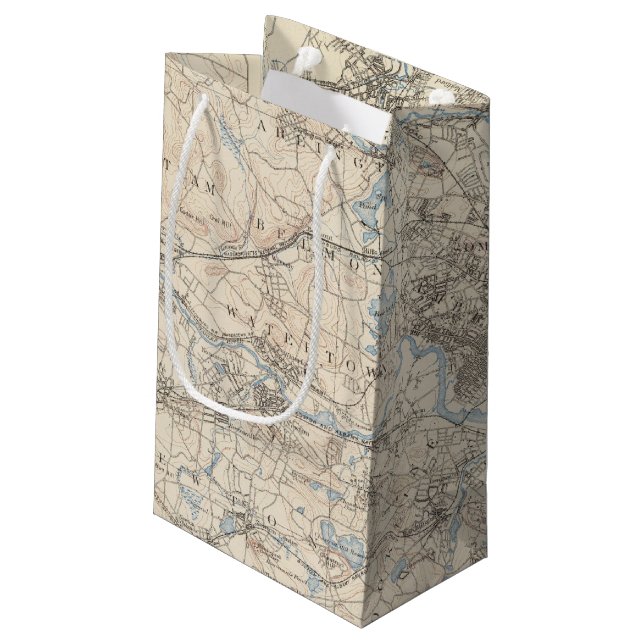Boston, Massachusetts Small Gift Bag (Back Angled)