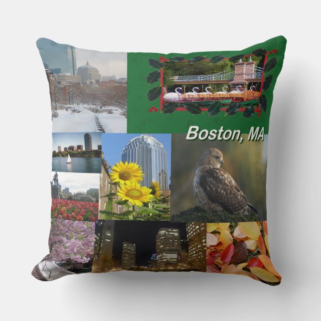 Boston, Massachusetts Throw Pillow (Front)