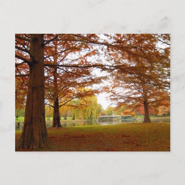 Boston Postcard (Front)