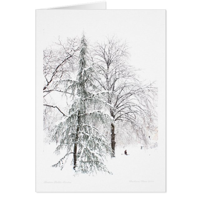 Boston Public Garden Cards (Front)