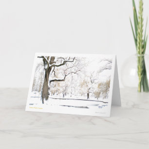 Boston Public Garden Holiday Card