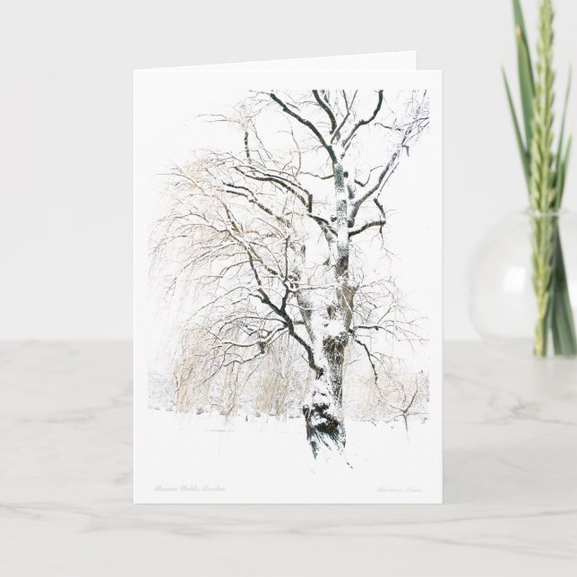 Boston Public Garden Holiday Card (Front)
