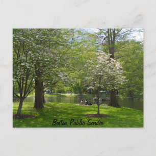 Boston Public Garden Postcard