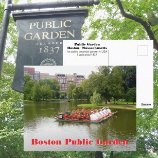 Boston Public Garden Swan Boats Photographic