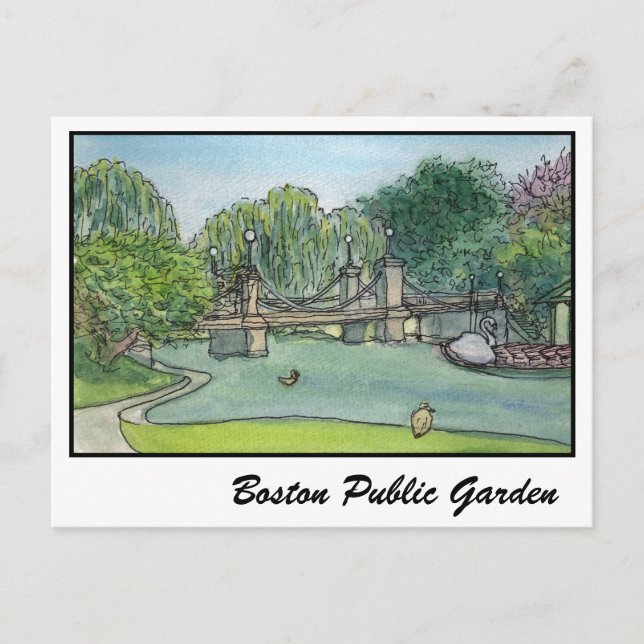 Boston Public Garden Swan Boats Postcard (Front)