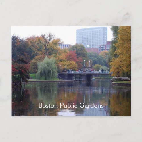 Boston Public Gardens Postcard