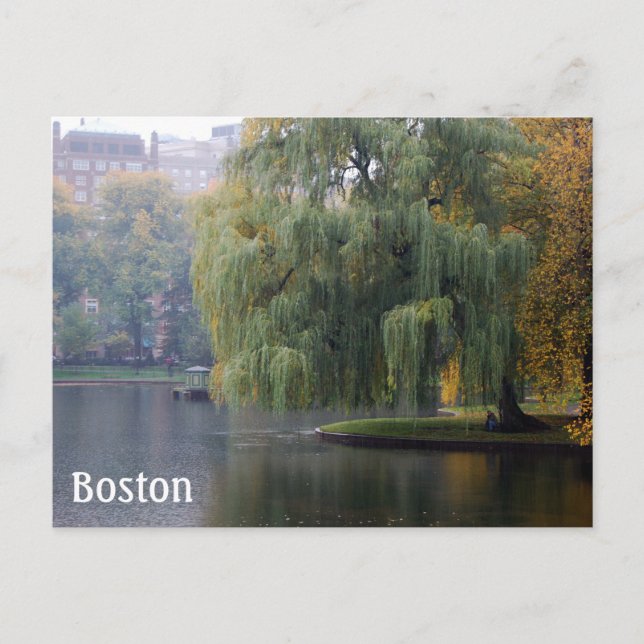 Boston Public Gardens Postcard (Front)