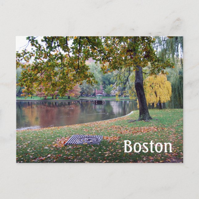 Boston Public Gardens Postcard (Front)