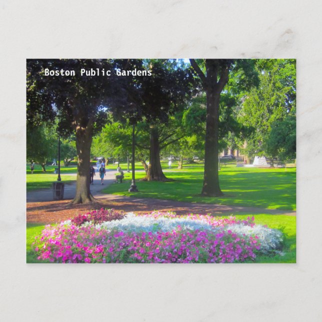 Boston Public Gardens Postcards (Front)
